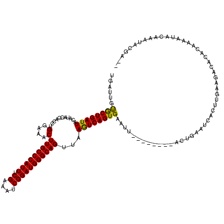 secondary structure