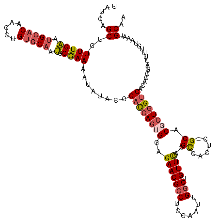 secondary structure