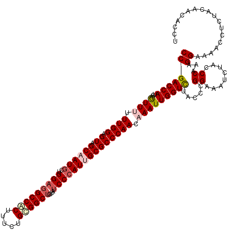 secondary structure