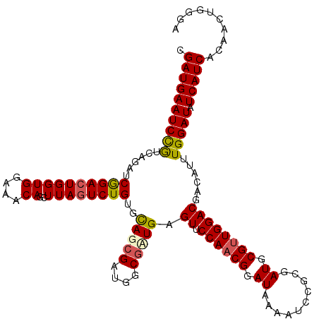 secondary structure