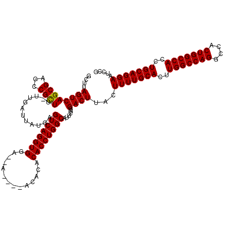secondary structure