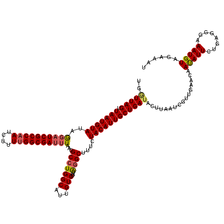 secondary structure