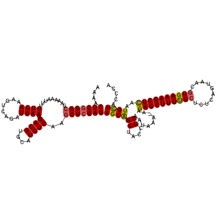 secondary structure