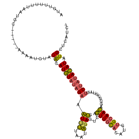 secondary structure