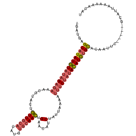 secondary structure