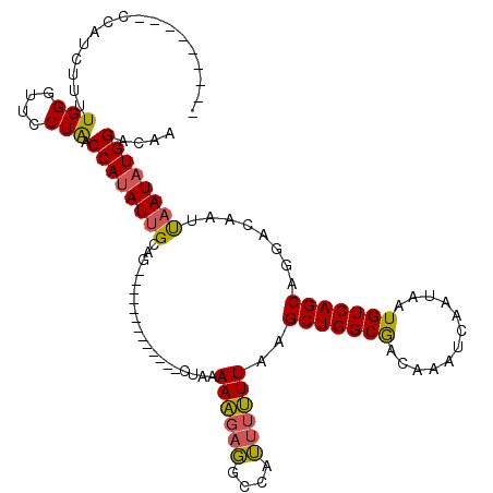 secondary structure
