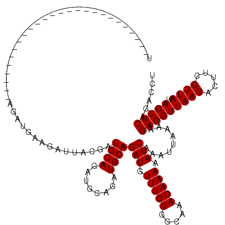 secondary structure