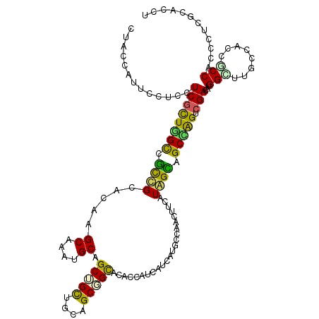 secondary structure