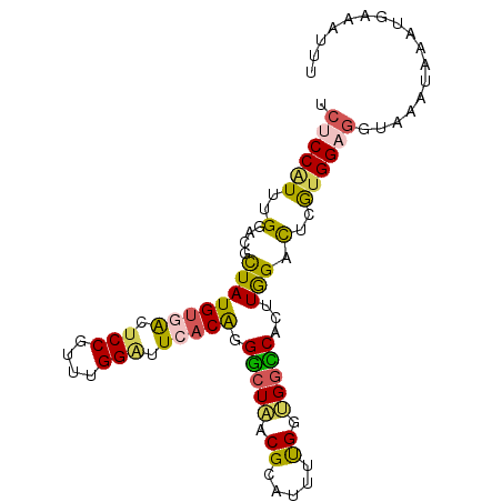 secondary structure