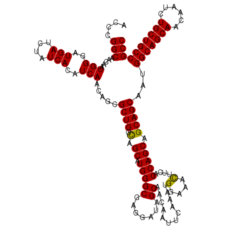 secondary structure