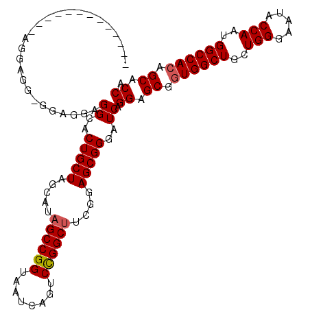 secondary structure