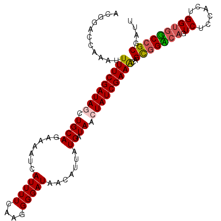 secondary structure