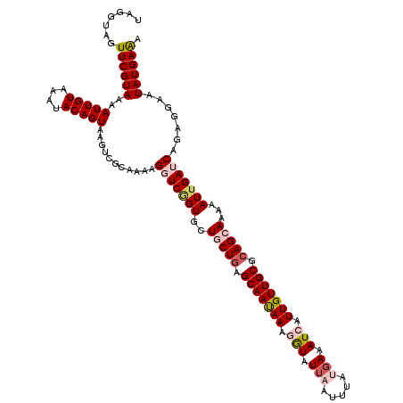 secondary structure