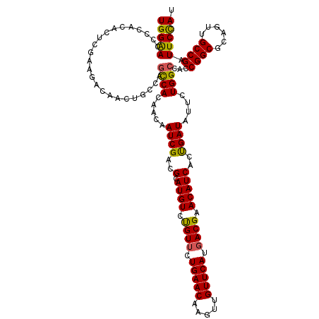 secondary structure