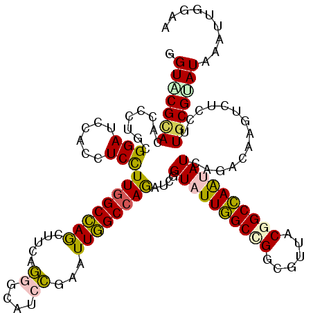 secondary structure