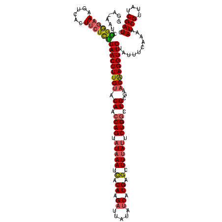 secondary structure