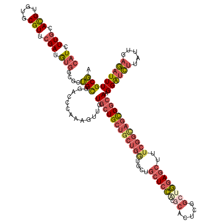 secondary structure