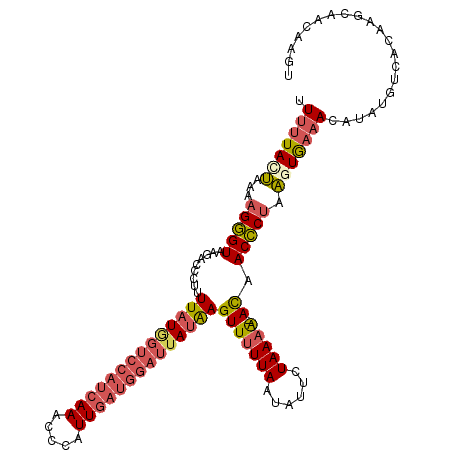 secondary structure