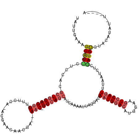 secondary structure