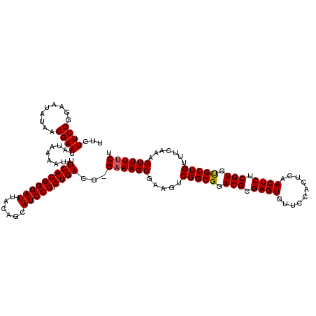 secondary structure
