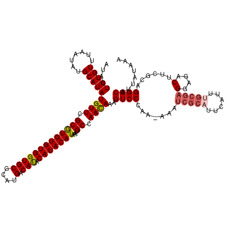 secondary structure
