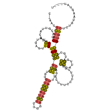 secondary structure
