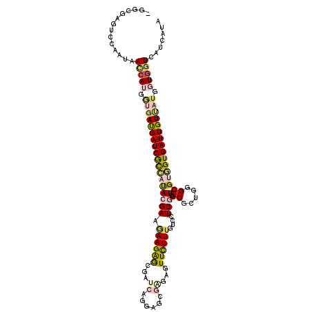secondary structure