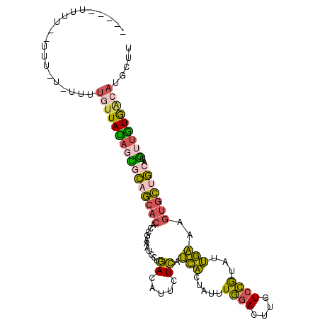 secondary structure
