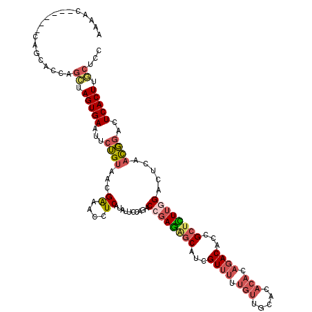 secondary structure