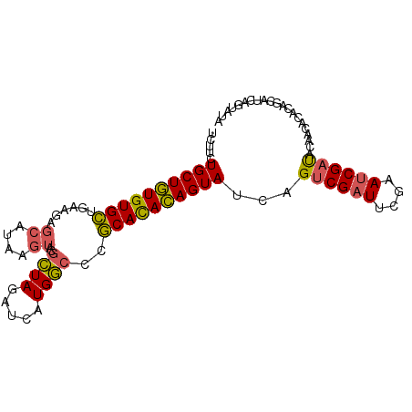 secondary structure