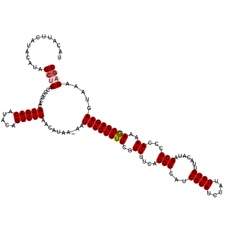 secondary structure