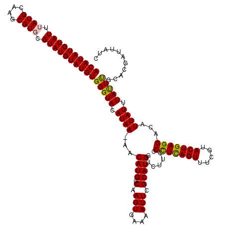 secondary structure
