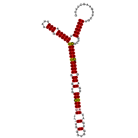 secondary structure