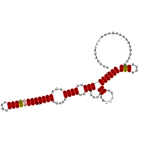 secondary structure