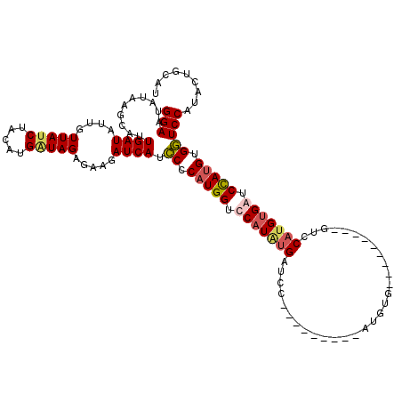 secondary structure