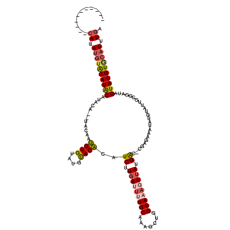 secondary structure