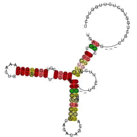 secondary structure