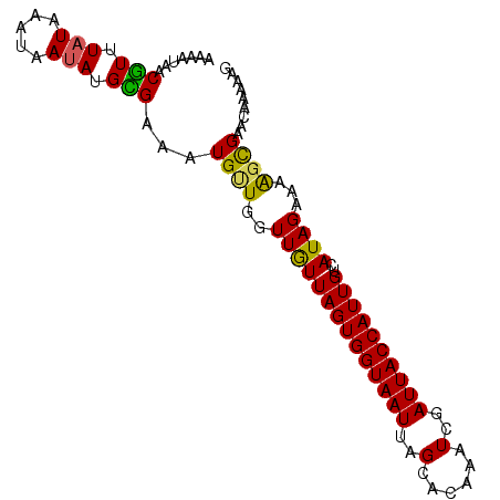 secondary structure