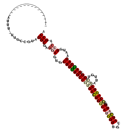 secondary structure