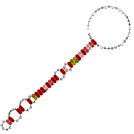 secondary structure