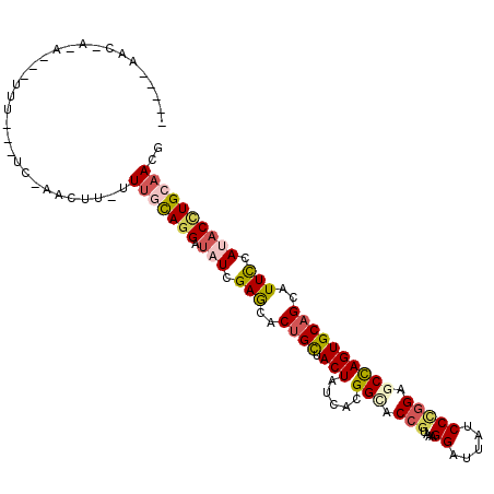 secondary structure