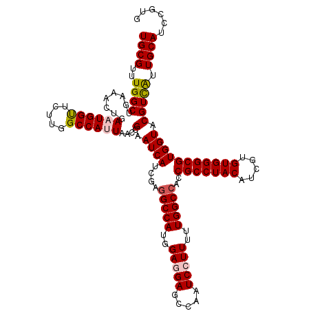 secondary structure