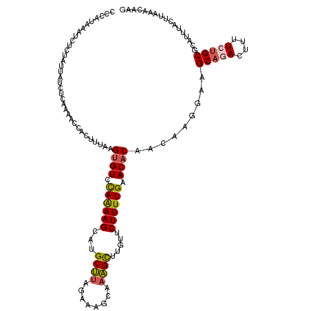 secondary structure