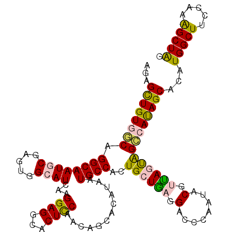 secondary structure
