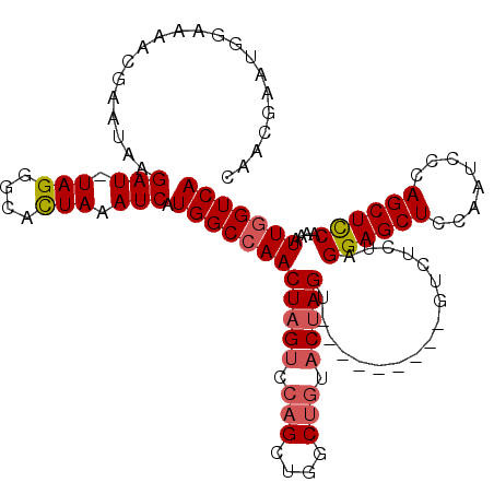 secondary structure