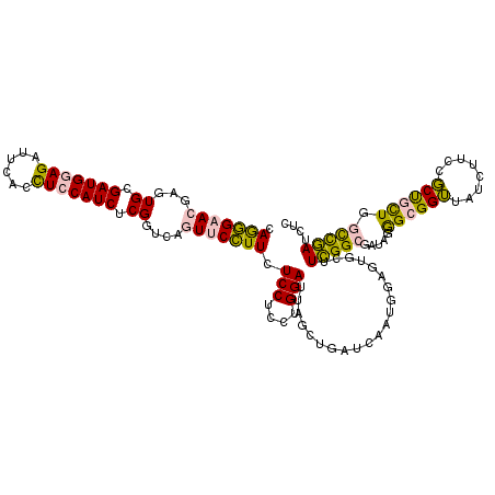 secondary structure