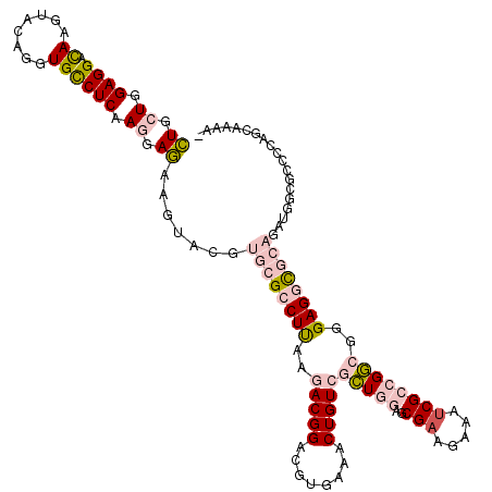 secondary structure
