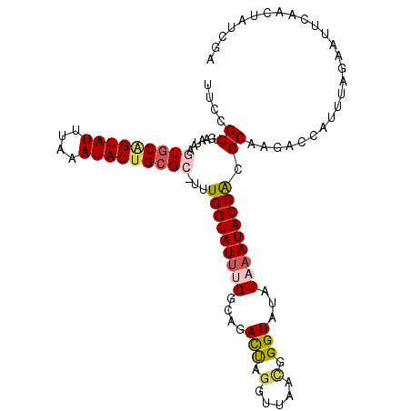 secondary structure