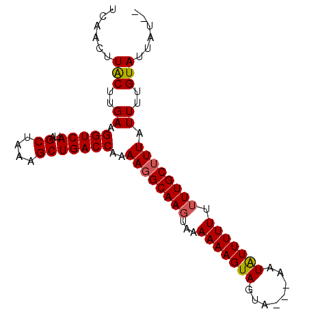 secondary structure