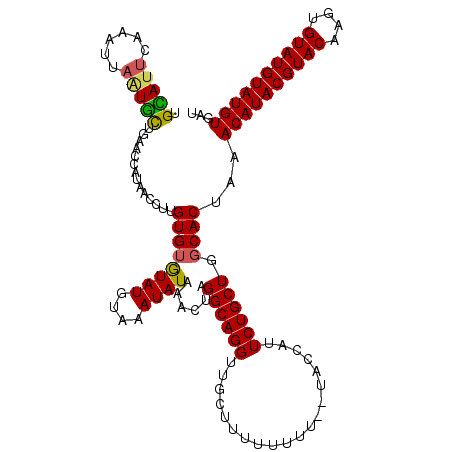 secondary structure